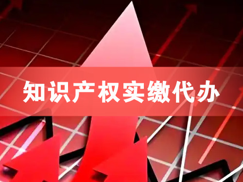 洪江知识产权实缴资本代办